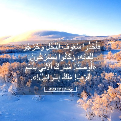 Picture 05 - يوحنَّا 12:13 AVD - فَأَخَذُوا سُعُوفَ - Bible Verse Picture