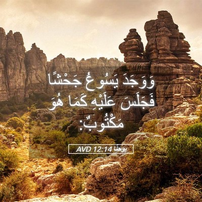 Picture 05 - يوحنَّا 12:14 AVD - وَوَجَدَ يَسُوعُ جَحْشًا - Bible Verse Picture