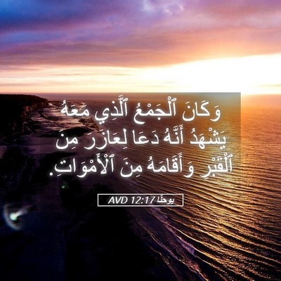 Picture 05 - يوحنَّا 12:17 AVD - وَكَانَ ٱلْجَمْعُ ٱلَّذِي - Bible Verse Picture