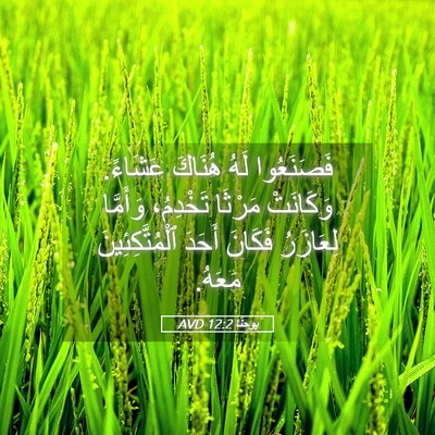 Picture 05 - يوحنَّا 12:2 AVD - فَصَنَعُوا لَهُ هُنَاكَ - Bible Verse Picture