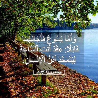 Picture 05 - يوحنَّا 12:23 AVD - وَأَمَّا يَسُوعُ - Bible Verse Picture