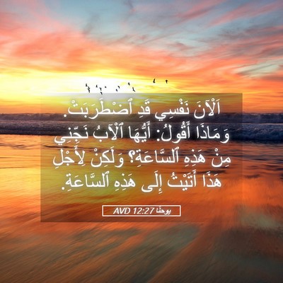 Picture 05 - يوحنَّا 12:27 AVD - اَلْآنَ نَفْسِي قَدِ - Bible Verse Picture