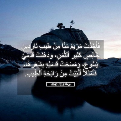 Picture 05 - يوحنَّا 12:3 AVD - فَأَخَذَتْ مَرْيَمُ مَنًا - Bible Verse Picture