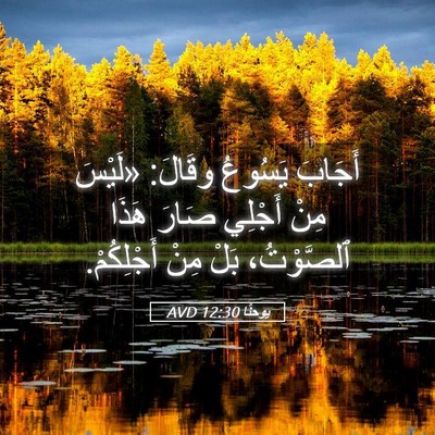 Picture 05 - يوحنَّا 12:30 AVD - أَجَابَ يَسُوعُ وقَالَ: - Bible Verse Picture