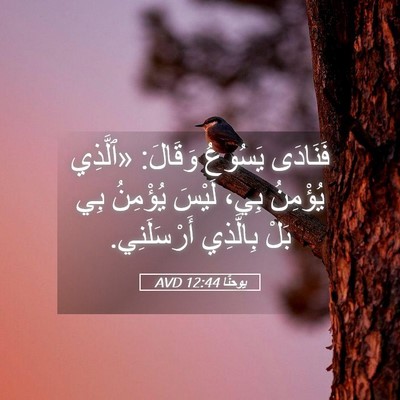 Picture 05 - يوحنَّا 12:44 AVD - فَنَادَى يَسُوعُ وَقَالَ: - Bible Verse Picture