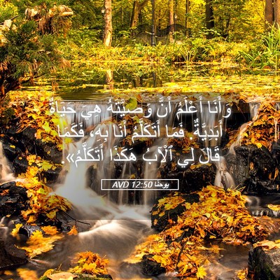 Picture 05 - يوحنَّا 12:50 AVD - وَأَنَا أَعْلَمُ أَنَّ - Bible Verse Picture