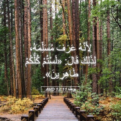 Picture 05 - يوحنَّا 13:11 AVD - لِأَنَّهُ عَرَفَ - Bible Verse Picture
