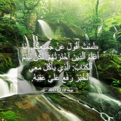 Picture 05 - يوحنَّا 13:18 AVD - «لَسْتُ أَقُولُ عَنْ - Bible Verse Picture