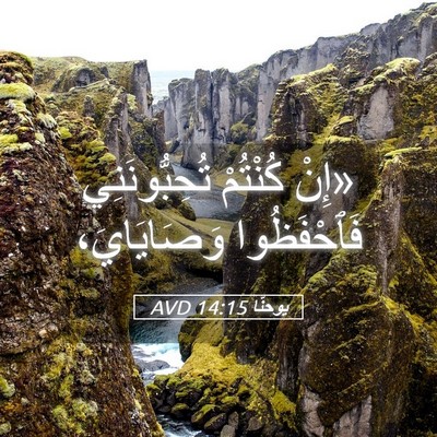 Picture 05 - يوحنَّا 14:15 AVD - «إِنْ كُنْتُمْ - Bible Verse Picture
