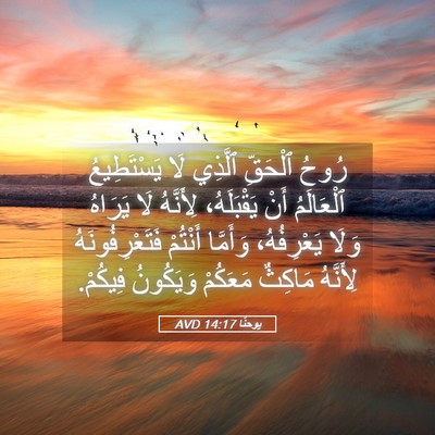 Picture 05 - يوحنَّا 14:17 AVD - رُوحُ ٱلْحَقِّ ٱلَّذِي لَا - Bible Verse Picture