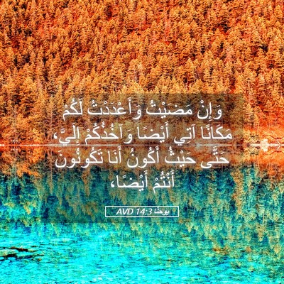 Picture 05 - يوحنَّا 14:3 AVD - وَإِنْ مَضَيْتُ - Bible Verse Picture