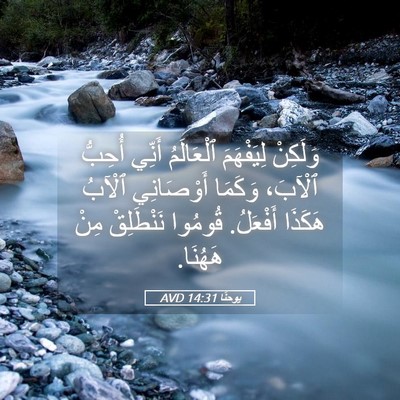 Picture 05 - يوحنَّا 14:31 AVD - وَلَكِنْ لِيَفْهَمَ - Bible Verse Picture