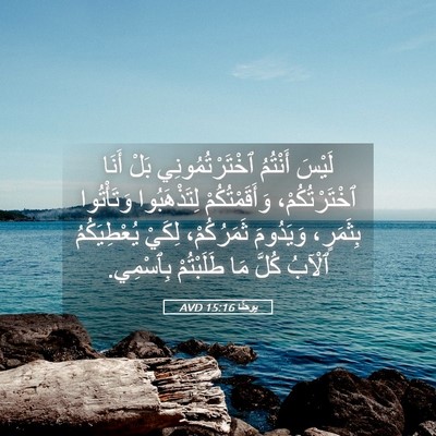 Picture 05 - يوحنَّا 15:16 AVD - لَيْسَ أَنْتُمُ - Bible Verse Picture