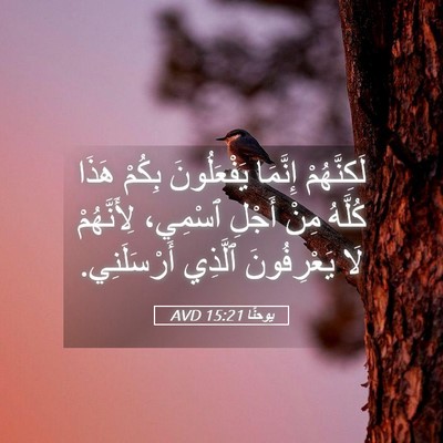 Picture 05 - يوحنَّا 15:21 AVD - لَكِنَّهُمْ إِنَّمَا - Bible Verse Picture