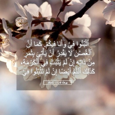 Picture 05 - يوحنَّا 15:4 AVD - اُثْبُتُوا فِيَّ وَأَنَا - Bible Verse Picture
