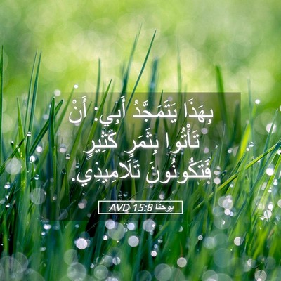 Picture 05 - يوحنَّا 15:8 AVD - بِهَذَا يَتَمَجَّدُ أَبِي: - Bible Verse Picture