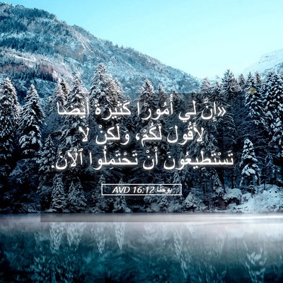 Picture 05 - يوحنَّا 16:12 AVD - «إِنَّ لِي أُمُورًا - Bible Verse Picture