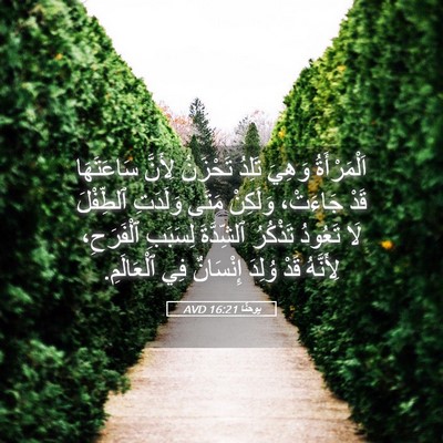 Picture 05 - يوحنَّا 16:21 AVD - اَلْمَرْأَةُ وَهِيَ - Bible Verse Picture