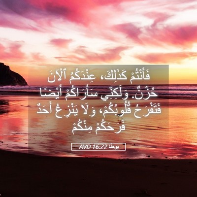 Picture 05 - يوحنَّا 16:22 AVD - فَأَنْتُمْ كَذَلِكَ، - Bible Verse Picture