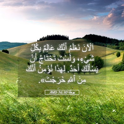 Picture 05 - يوحنَّا 16:30 AVD - اَلْآنَ نَعْلَمُ أَنَّكَ - Bible Verse Picture
