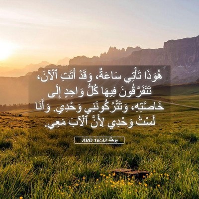 Picture 05 - يوحنَّا 16:32 AVD - هُوَذَا تَأْتِي سَاعَةٌ، - Bible Verse Picture