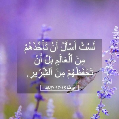 Picture 05 - يوحنَّا 17:15 AVD - لَسْتُ أَسْأَلُ أَنْ - Bible Verse Picture