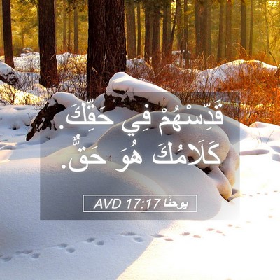 Picture 05 - يوحنَّا 17:17 AVD - قَدِّسْهُمْ فِي حَقِّكَ. - Bible Verse Picture