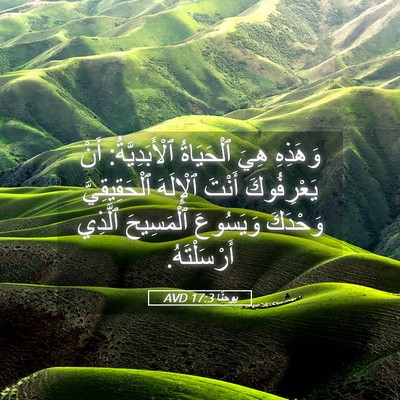Picture 05 - يوحنَّا 17:3 AVD - وَهَذِهِ هِيَ ٱلْحَيَاةُ - Bible Verse Picture