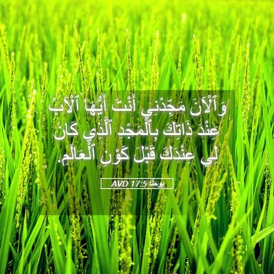 Picture 05 - يوحنَّا 17:5 AVD - وَٱلْآنَ مَجِّدْنِي - Bible Verse Picture
