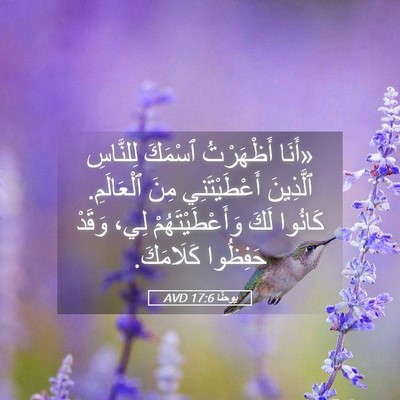 Picture 05 - يوحنَّا 17:6 AVD - «أَنَا أَظْهَرْتُ ٱسْمَكَ - Bible Verse Picture