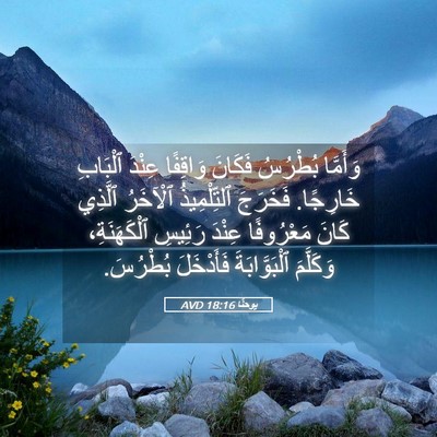 Picture 05 - يوحنَّا 18:16 AVD - وَأَمَّا بُطْرُسُ فَكَانَ - Bible Verse Picture