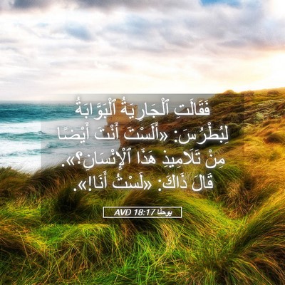 Picture 05 - يوحنَّا 18:17 AVD - فَقَالَتِ ٱلْجَارِيَةُ - Bible Verse Picture
