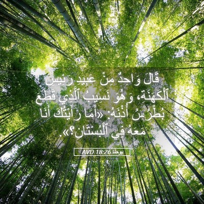 Picture 05 - يوحنَّا 18:26 AVD - قَالَ وَاحِدٌ مِنْ عَبِيدِ - Bible Verse Picture