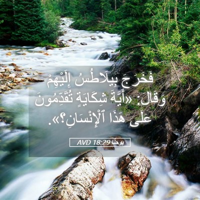 Picture 05 - يوحنَّا 18:29 AVD - فَخَرَجَ بِيلَاطُسُ - Bible Verse Picture