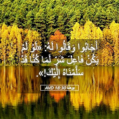 Picture 05 - يوحنَّا 18:30 AVD - أَجَابُوا وَقَالُوا لَهُ: - Bible Verse Picture