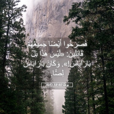 Picture 05 - يوحنَّا 18:40 AVD - فَصَرَخُوا أَيْضًا - Bible Verse Picture