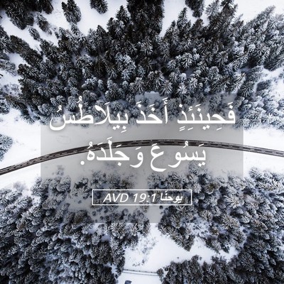 Picture 05 - يوحنَّا 19:1 AVD - فَحِينَئِذٍ أَخَذَ - Bible Verse Picture