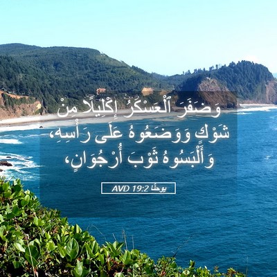 Picture 05 - يوحنَّا 19:2 AVD - وَضَفَرَ ٱلْعَسْكَرُ - Bible Verse Picture