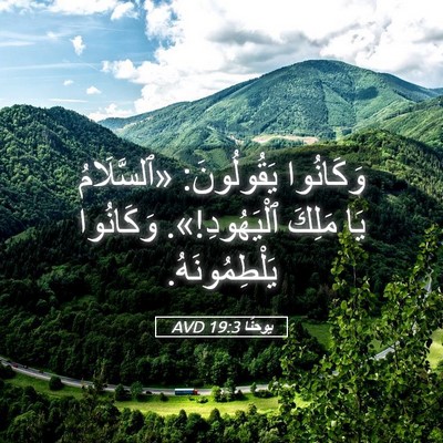 Picture 05 - يوحنَّا 19:3 AVD - وَكَانُوا يَقُولُونَ: - Bible Verse Picture