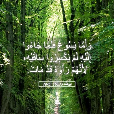 Picture 05 - يوحنَّا 19:33 AVD - وَأَمَّا يَسُوعُ فَلَمَّا - Bible Verse Picture