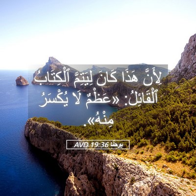 Picture 05 - يوحنَّا 19:36 AVD - لِأَنَّ هَذَا كَانَ - Bible Verse Picture