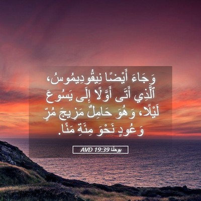 Picture 05 - يوحنَّا 19:39 AVD - وَجَاءَ أَيْضًا - Bible Verse Picture