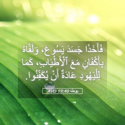 Picture 05 - يوحنَّا 19:40 AVD - فَأَخَذَا جَسَدَ يَسُوعَ، - Bible Verse Picture