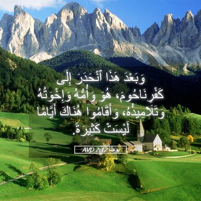 Picture 05 - يوحنَّا 2:12 AVD - وَبَعْدَ هَذَا ٱنْحَدَرَ - Bible Verse Picture