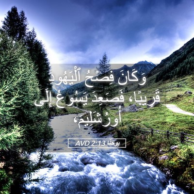 Picture 05 - يوحنَّا 2:13 AVD - وَكَانَ فِصْحُ ٱلْيَهُودِ - Bible Verse Picture