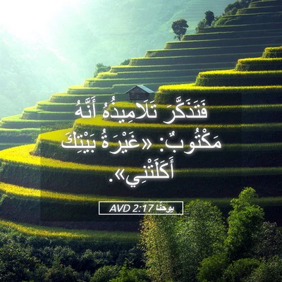 Picture 05 - يوحنَّا 2:17 AVD - فَتَذَكَّرَ تَلَامِيذُهُ - Bible Verse Picture