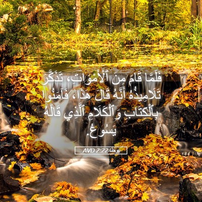 Picture 05 - يوحنَّا 2:22 AVD - فَلَمَّا قَامَ مِنَ - Bible Verse Picture