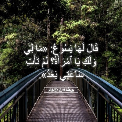 Picture 05 - يوحنَّا 2:4 AVD - قَالَ لَهَا يَسُوعُ: «مَا - Bible Verse Picture
