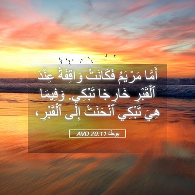 Picture 05 - يوحنَّا 20:11 AVD - أَمَّا مَرْيَمُ فَكَانَتْ - Bible Verse Picture