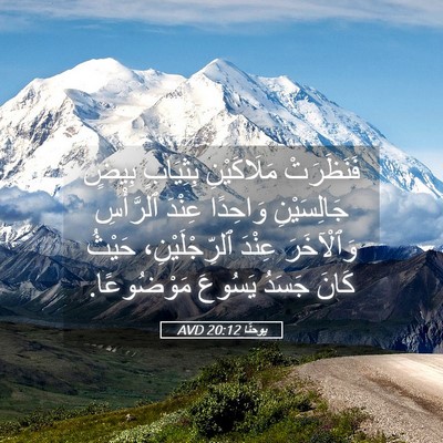 Picture 05 - يوحنَّا 20:12 AVD - فَنَظَرَتْ مَلَاكَيْنِ - Bible Verse Picture